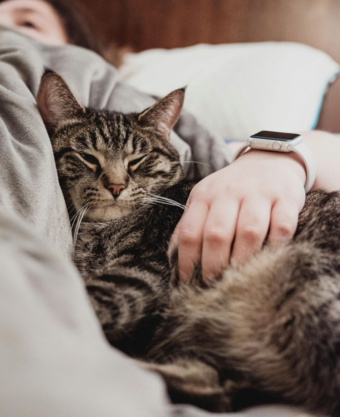 Northside Vistas apartments resident resting in bed with a cat lying next to them, being gently pet.